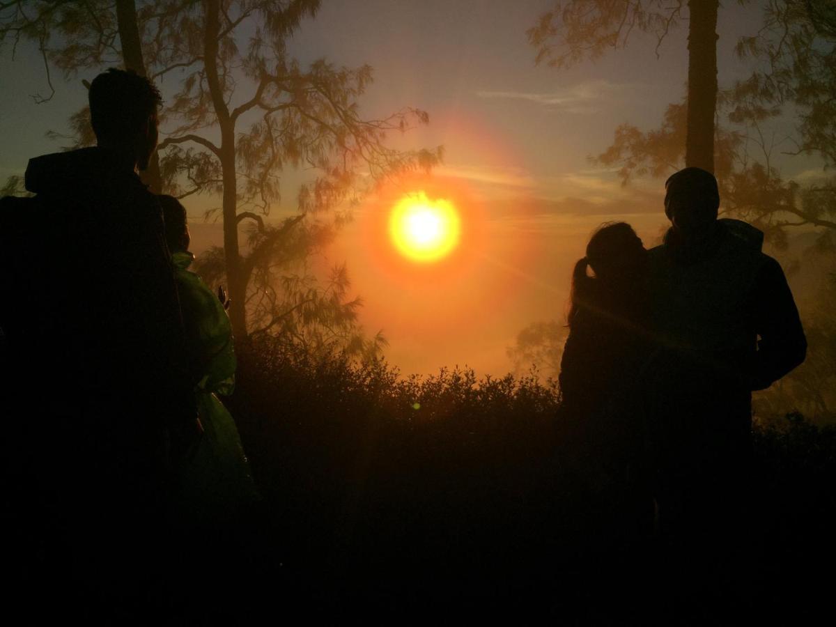 Bunbulan Panorama Panzió Kintamani Kültér fotó